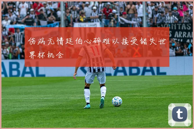 伤病无情廷伯心碎难以接受错失世界杯机会